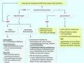 ADHS Medikamente: Wirkungen, Nebenwirkungen und richtige Auswahl verstehen