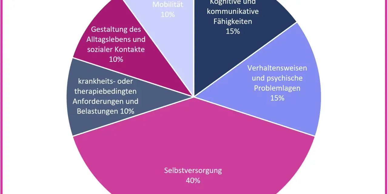 Kreisdiagramm zeigt die Gewichtung verschiedener Bereiche für die pflegestufen: Selbstversorgung (40%), kognitive/kommunikative Fähigkeiten (15%), Verhaltensweisen/psychische Problemlagen (15%), Gestaltung des Alltags/soziale Kontakte (10%), Mobilität ...