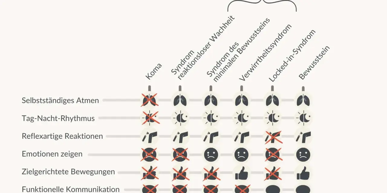 Schema zeigt verschiedene Zustände von Wachkoma-Patienten, von Koma bis Bewusstsein, mit Symbolen für Atmung, Rhythmus, Reaktionen, Emotionen, Bewegungen und Kommunikation.