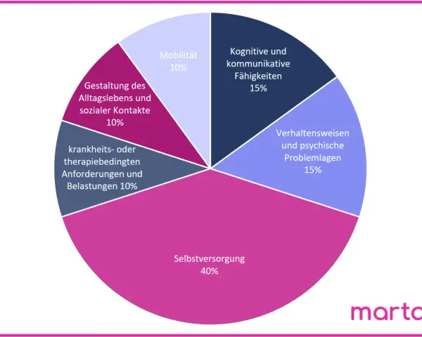Kreisdiagramm zeigt die Gewichtung verschiedener Bereiche für die pflegestufen: Selbstversorgung (40%), kognitive/kommunikative Fähigkeiten (15%), Verhaltensweisen/psychische Problemlagen (15%), Gestaltung des Alltags/soziale Kontakte (10%), Mobilität ...