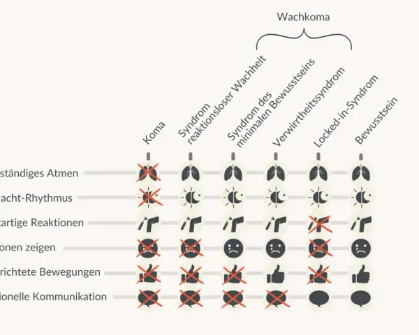 Schema zeigt verschiedene Zustände von Wachkoma-Patienten, von Koma bis Bewusstsein, mit Symbolen für Atmung, Rhythmus, Reaktionen, Emotionen, Bewegungen und Kommunikation.