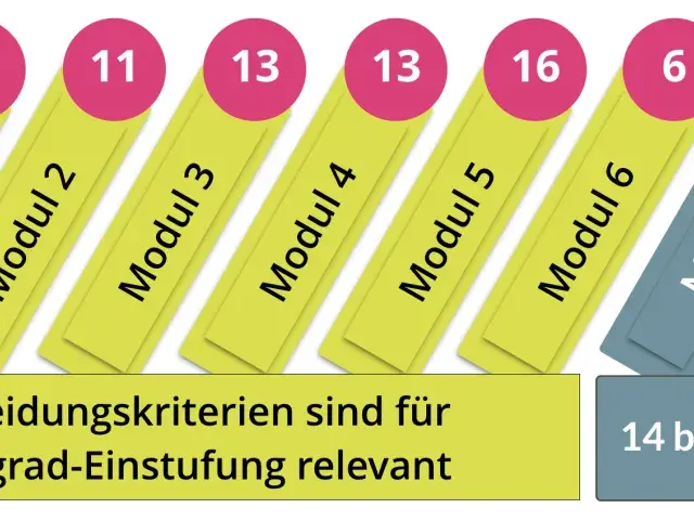 78 Kriterien für die Pflegegrad-Einstufung, aufgeteilt in 8 Module. 64 Kriterien sind relevant.