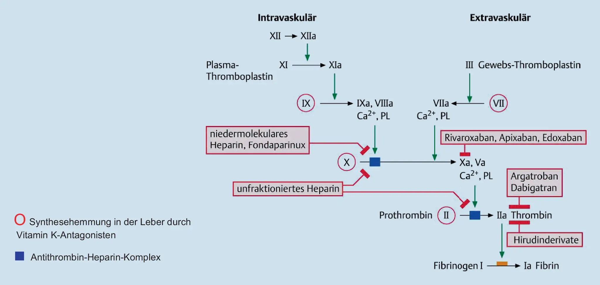 Schema der Gerinnungskaskade. Heparin und niedermolekulares Heparin hemmen die Gerinnung, indem sie den Antithrombin-Heparin-Komplex aktivieren.