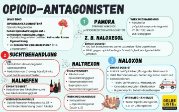 Opioid-Antagonisten wie Naloxon, Naltrexon und Naloxegol blockieren Opioidrezeptoren. Sie helfen bei der Suchtbehandlung und können Nebenwirkungen von Opioiden wie Obstipation bei Oxycodon reduzieren.