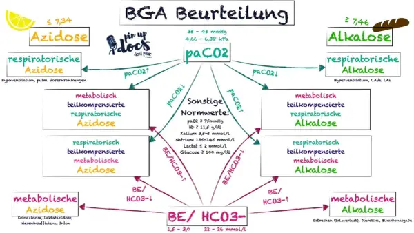 Schema zur BGA Interpretation: Azidose/Alkalose, paCO2 & BE/HCO3- Werte und deren Ursachen.