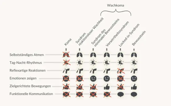 Schema zeigt verschiedene Zustände von Wachkoma-Patienten, von Koma bis Bewusstsein, mit Symbolen für Atmung, Rhythmus, Reaktionen, Emotionen, Bewegungen und Kommunikation.