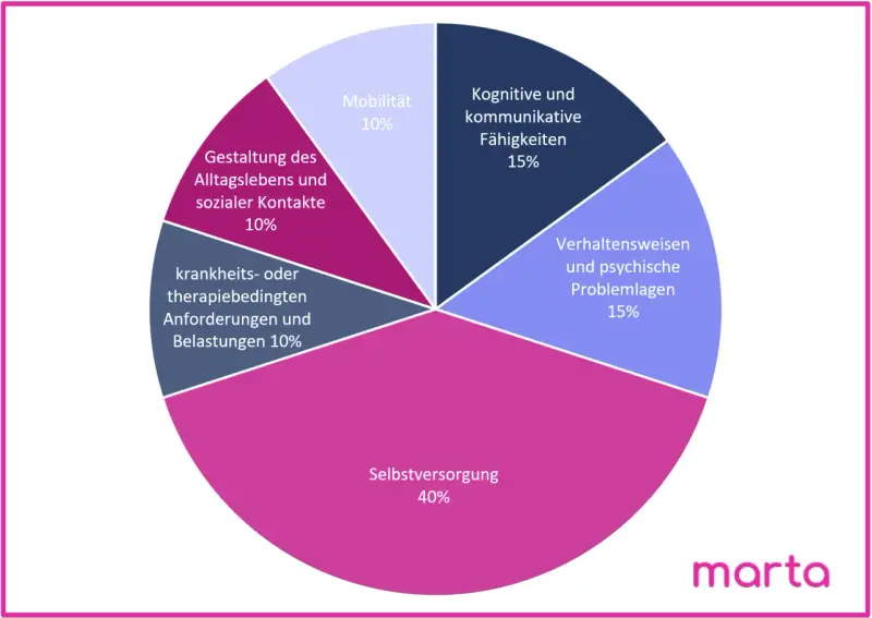 Kreisdiagramm zeigt die Gewichtung verschiedener Bereiche für die pflegestufen: Selbstversorgung (40%), kognitive/kommunikative Fähigkeiten (15%), Verhaltensweisen/psychische Problemlagen (15%), Gestaltung des Alltags/soziale Kontakte (10%), Mobilität ...
