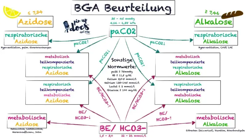 Schema zur BGA Interpretation: Azidose/Alkalose, paCO2 & BE/HCO3- Werte und deren Ursachen.