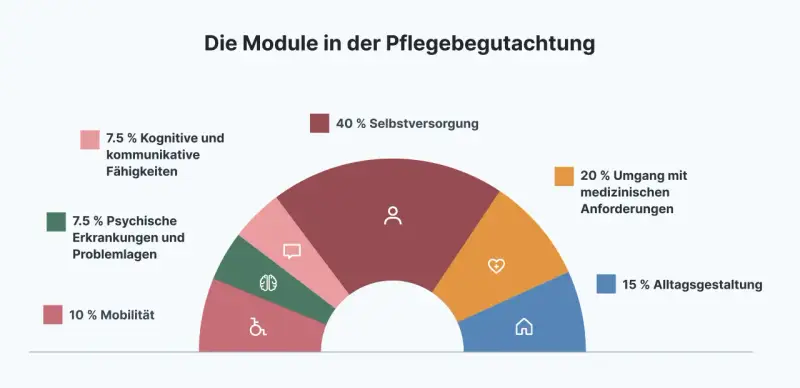 Diagramm zeigt die Module der Pflegebegutachtung: 40% Selbstversorgung, 20% medizinische Anforderungen, 15% Alltagsgestaltung, 10% Mobilität, 7.5% kognitive/kommunikative Fähigkeiten, 7.5% psychische Erkrankungen.