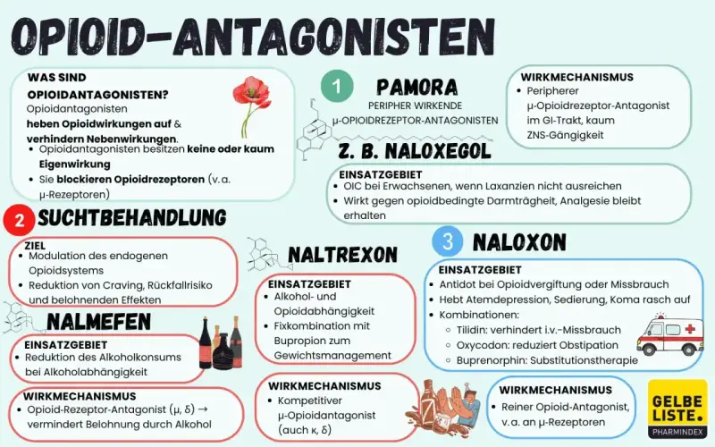 Opioid-Antagonisten wie Naloxon, Naltrexon und Naloxegol blockieren Opioidrezeptoren. Sie helfen bei der Suchtbehandlung und können Nebenwirkungen von Opioiden wie Obstipation bei Oxycodon reduzieren.